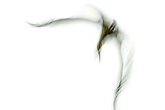 artistic flying stork, abstrakt Storch im Flug, Fotograf, Tierfotos, Kunstfotos