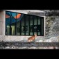 Fotograf, Kunst-Fotograf, Tier-Fotograf, Fantasy, Fineart, Fineart-Fotograf, Sport-Fotograf St. Gallen, St.Gallen