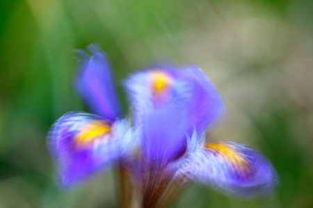 Fotograf, Kunst-Fotograf, Tier-Fotograf, Fantasy, Fineart, Fineart-Fotograf, Sport-Fotograf St. Gallen, St.Gallen