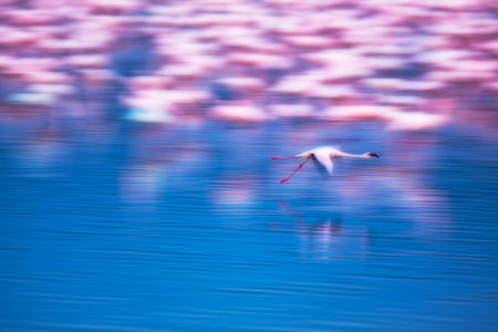 Fotograf, Kunst-Fotograf, Tier-Fotograf, Fantasy, Fineart, Fineart-Fotograf, Sport-Fotograf St. Gallen, St.Gallen