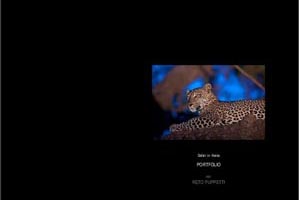 Fotograf, Kunst-Fotograf, Tier-Fotograf, Fantasy, Fineart, Fineart-Fotograf, Sport-Fotograf St. Gallen, St.Gallen