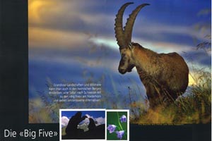 Fotograf, Kunst-Fotograf, Tier-Fotograf, Fantasy, Fineart, Fineart-Fotograf, Sport-Fotograf St. Gallen, St.Gallen