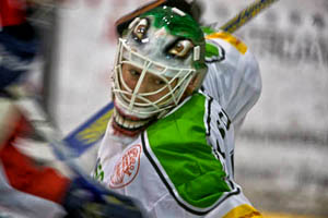 Eishockey EHC St.Gallen Lerchenfeld Fotograf Fotos Sport Kunst