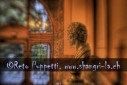 Fotograf, Kunst-Fotograf, Tier-Fotograf, Fantasy, Fineart, Fineart-Fotograf, Sport-Fotograf St. Gallen, St.Gallen