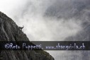 Fotograf, Kunst-Fotograf, Tier-Fotograf, Fantasy, Fineart, Fineart-Fotograf, Sport-Fotograf St. Gallen, St.Gallen
