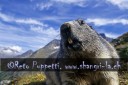 Fotograf, Kunst-Fotograf, Tier-Fotograf, Fantasy, Fineart, Fineart-Fotograf, Sport-Fotograf St. Gallen, St.Gallen