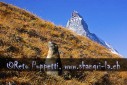 Fotograf, Kunst-Fotograf, Tier-Fotograf, Fantasy, Fineart, Fineart-Fotograf, Sport-Fotograf St. Gallen, St.Gallen