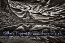 Fotograf, Kunst-Fotograf, Tier-Fotograf, Fantasy, Fineart, Fineart-Fotograf, Sport-Fotograf St. Gallen, St.Gallen