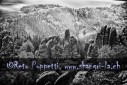 Fotograf, Kunst-Fotograf, Tier-Fotograf, Fantasy, Fineart, Fineart-Fotograf, Sport-Fotograf St. Gallen, St.Gallen
