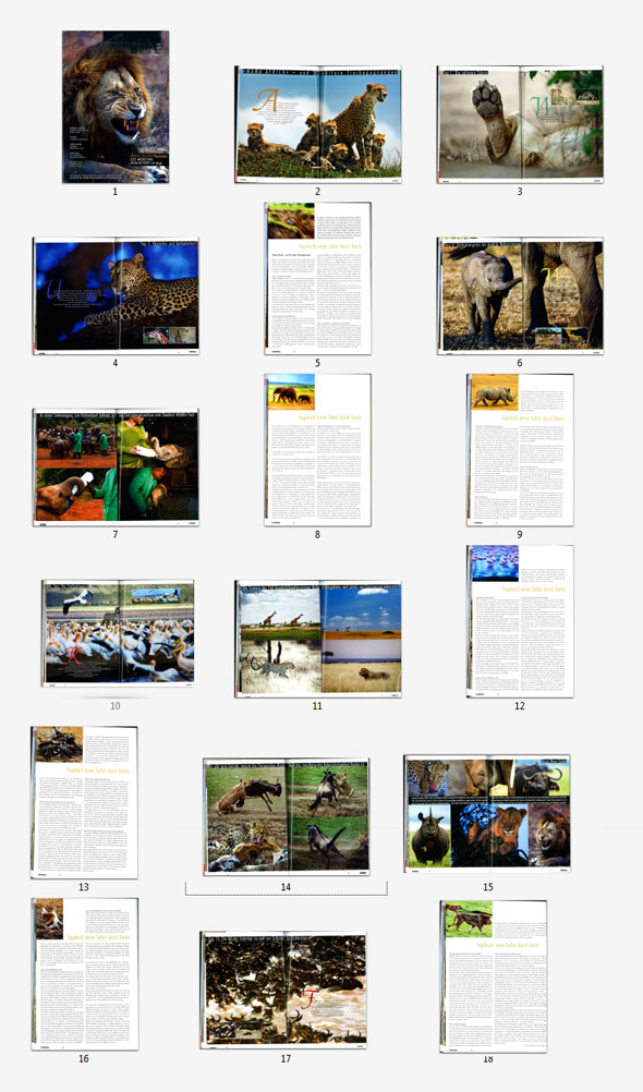 SafariTagebuchMagazinAlleSeitenRetoPuppetti