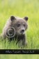 Bär Grizzly Alaska, Tierfotos, Fotograf