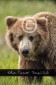 Bär Grizzly Alaska, Tierfotos, Fotograf