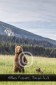 Bär Grizzly Alaska, Tierfotos, Fotograf