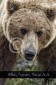 Bär Grizzly Alaska, Tierfotos, Fotograf