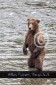 Bär Grizzly Alaska, Tierfotos, Fotograf