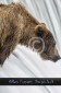 Bär Grizzly Alaska, Tierfotos, Fotograf