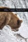 Bär Grizzly Alaska, Tierfotos, Fotograf