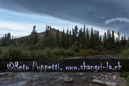 Alaska Denali Nationalpark Foto Reto Puppetti