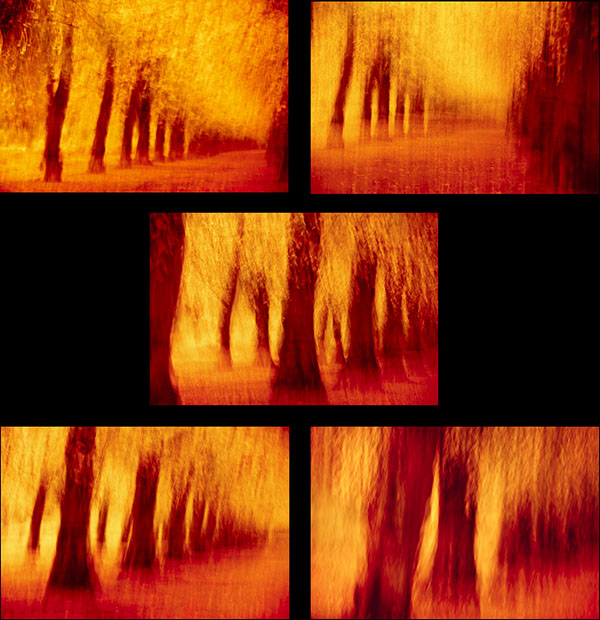 Herbstbäume, Autumn trees, abstrakt, Kunstfotografie, art photography, made by Fotograf in St.Gallen